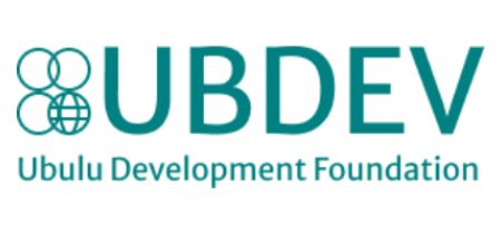 ubdev your innovation plug clients